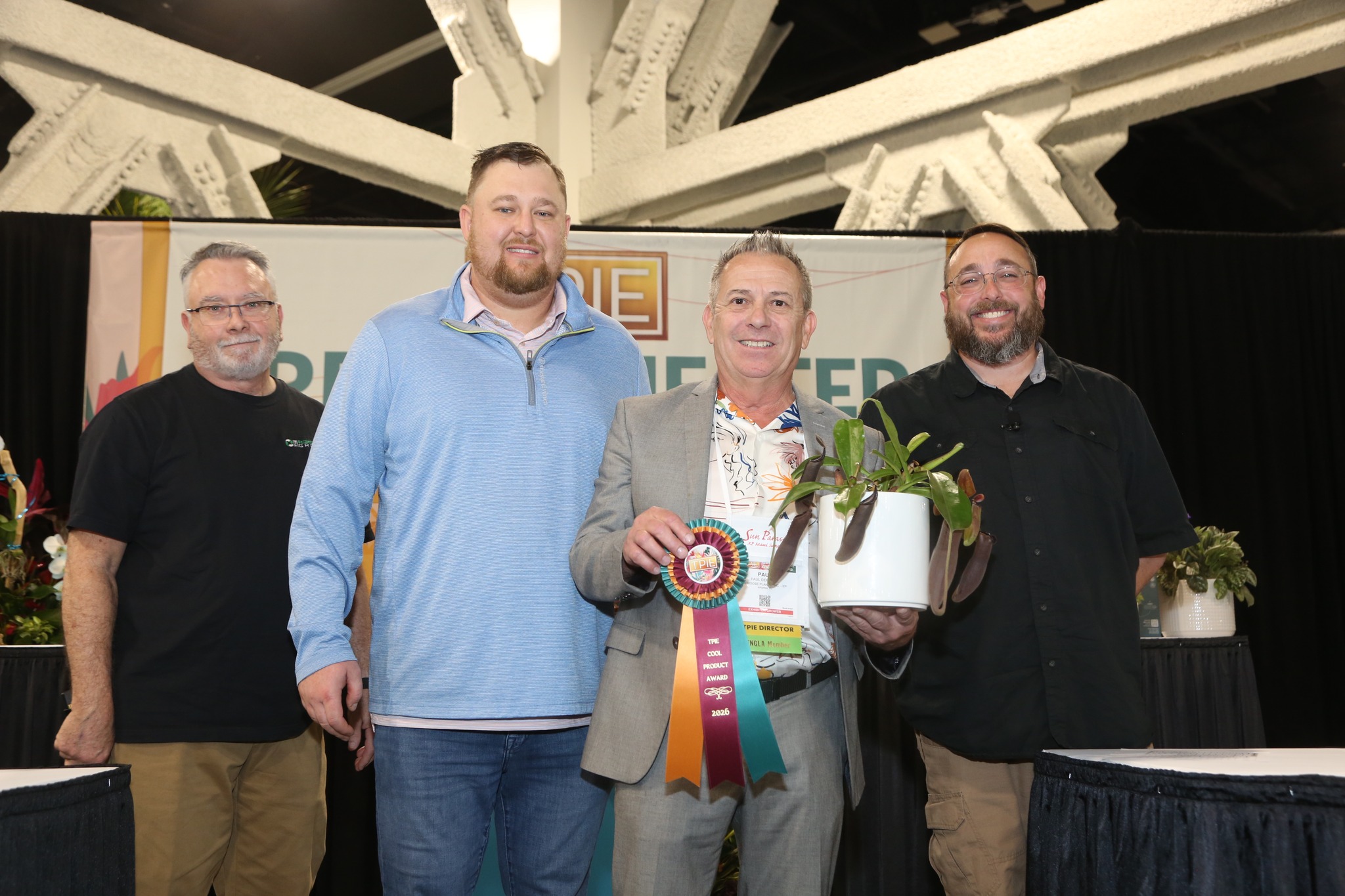 Nepenthes Midnight - Black Pitcher Plants